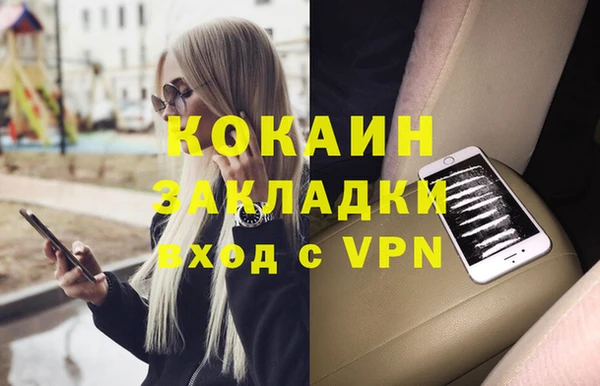 индика Сатка