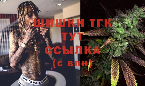 spice Беломорск
