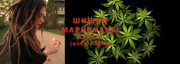 spice Беломорск