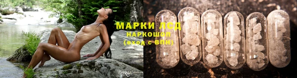 гашик Белоозёрский
