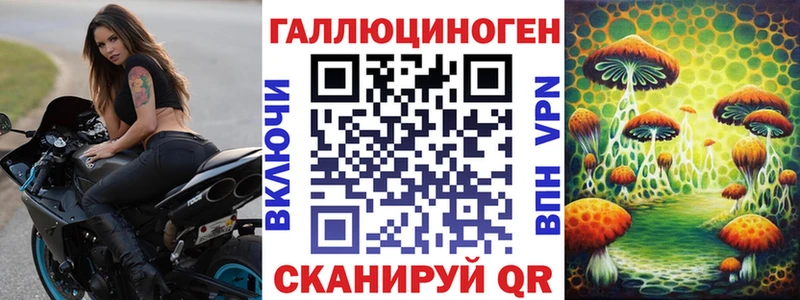 Галлюциногенные грибы Psilocybine cubensis Шуя
